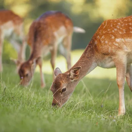 Homes I&g By The River Next To Olimje Kozje