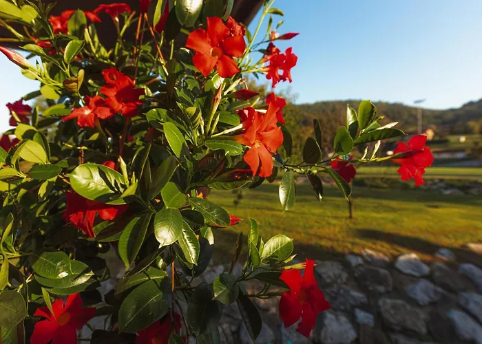 Homes I&g By The River Next To Olimje * Kozje