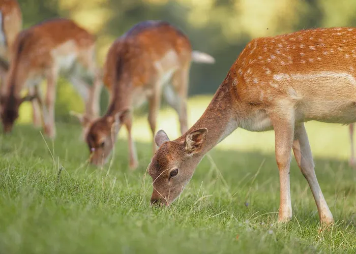 Homes I&g By The River Next To Olimje Kozje